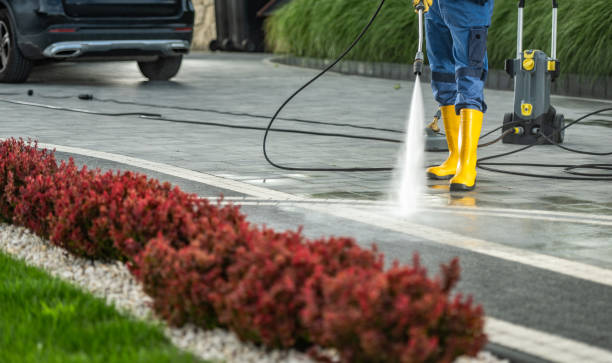 Best Sidewalk and Walkway Cleaning  in Zephyrhills, FL